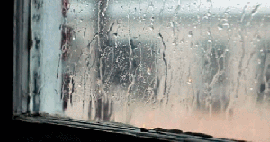 tumblr_mtns5v07xg1rfp1lho1_500