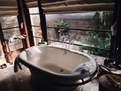 tumblr_napiu2urxK1sw2wwfo1_500